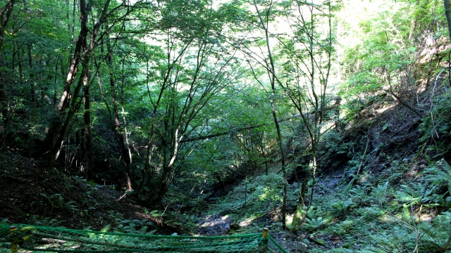 ゼロ地場